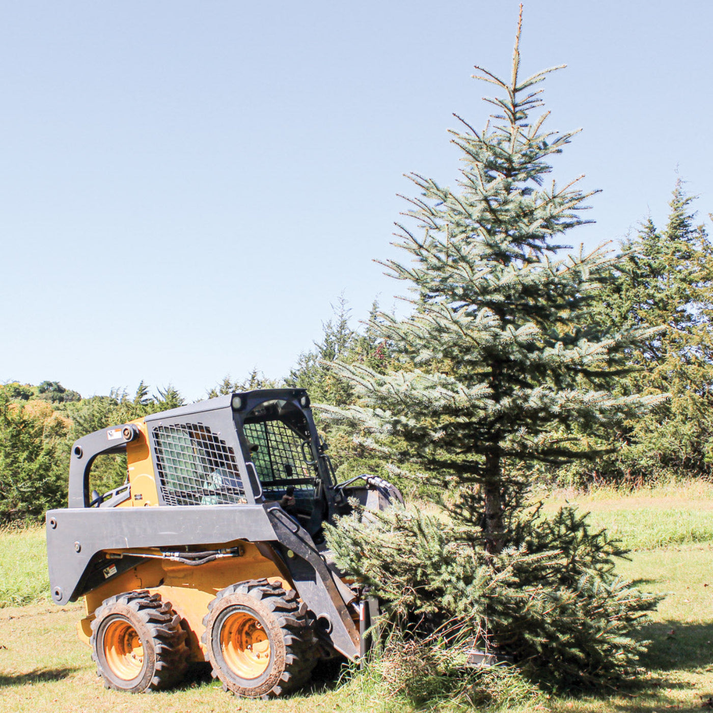 Grey Wolf Skid Steer Tree Puller Attachment  - (1067)