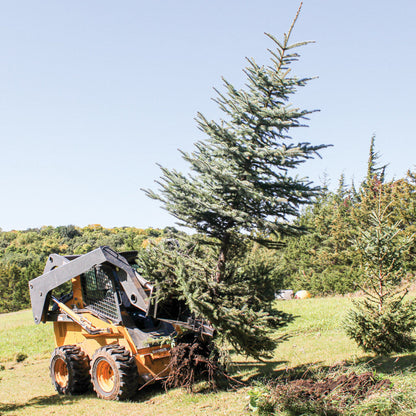 Grey Wolf Skid Steer Tree Puller Attachment  - (1067)