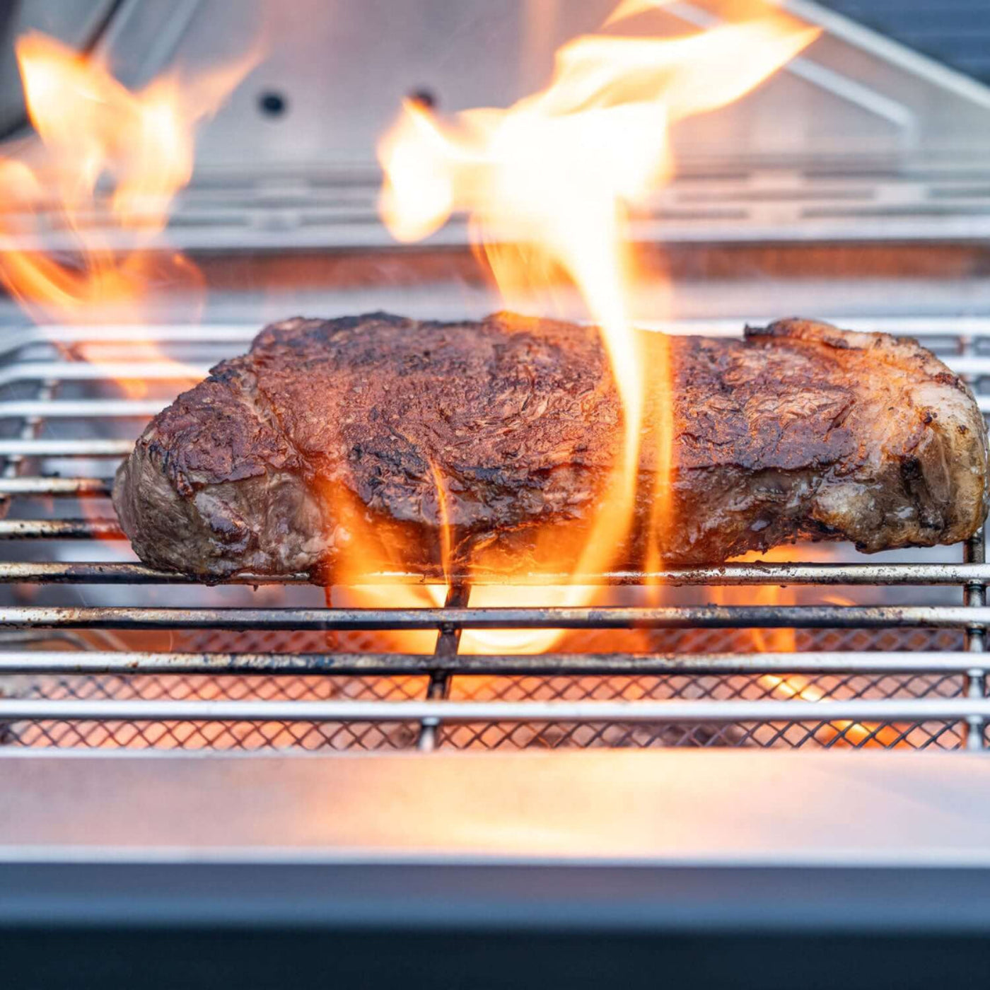 Monument Grills Classic 24367 Series | 4 Burner Propane Gas Grill in Stainless Steel - 24367