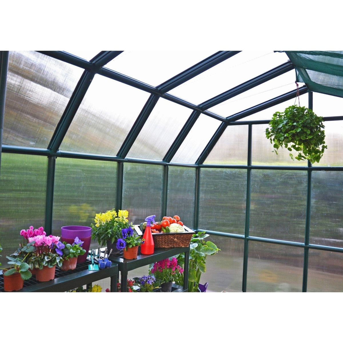 Palram Canopia | Grand Gardener Greenhouse Kit 8 Ft Wide Green With 6mm Twin-wall Polycarbonate Glazing - HG7208