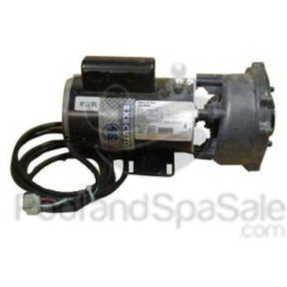 MASTER SPAS Pump, 4.5 horsepower 2 Speed 48 Frame Value 230v - X320520